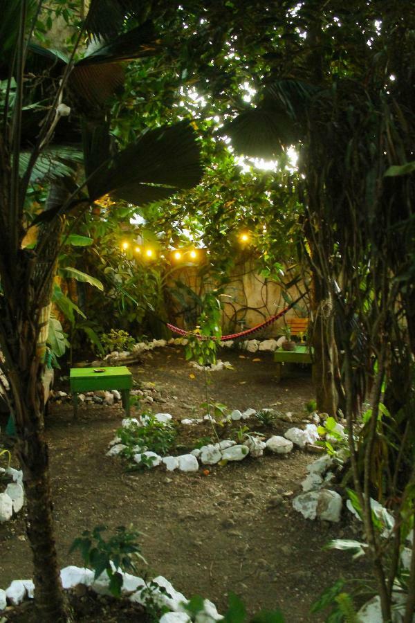 Ciao Cacao Hostel & Vegan Cafe Flores Exterior foto